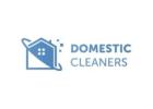 Star Domestic Cleaners Wandsworth