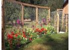 Garden Trellis