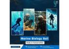 Marine Biology Bali – Study & Conservation