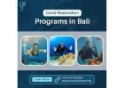 Coral Restoration Programs in Bali