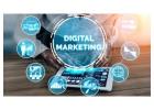 Digital Marketing Services in Delhi  | IIS INDIA