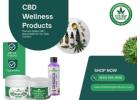 CBD for Pain Relief – Fast, Natural Support