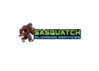 Sasquatch Plumbing Services Seattle
